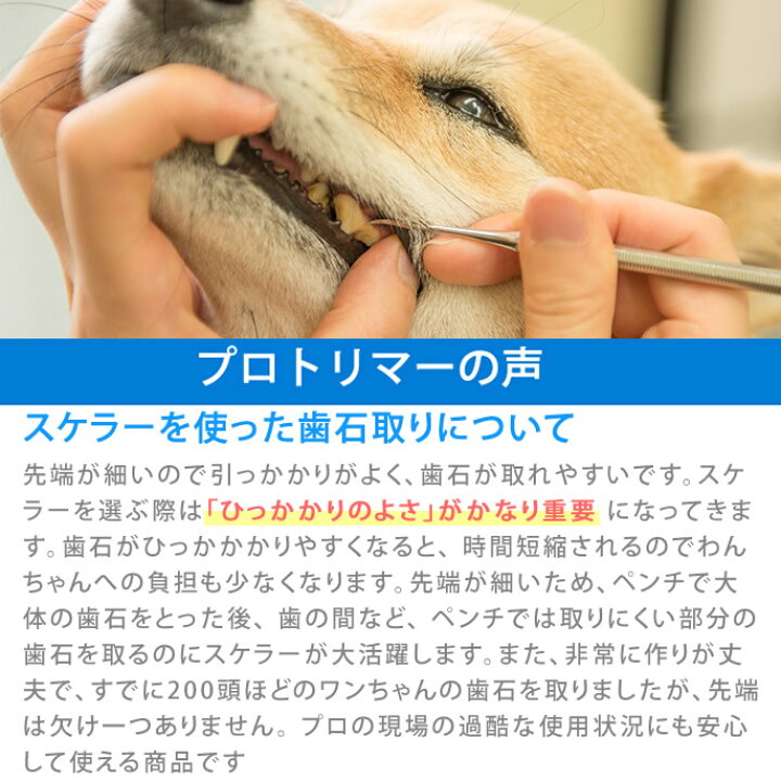 楽天市場 愛犬 愛猫歯石取りペンチとスケラーセット 犬 歯磨き デンタルケア 歯石取りペット用品 歯石除去 犬の歯石とり スケラー 器具 犬歯石 トリミング用品 犬の歯石取りグッズ スケーラー デンタル ケア 帝塚山ハウンドカム 楽天市場店