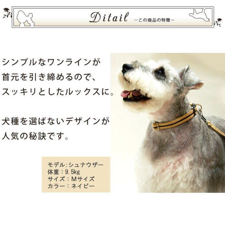 市場 ランサークリエイティブ ペット 安全 の首輪ライトアップナイロン