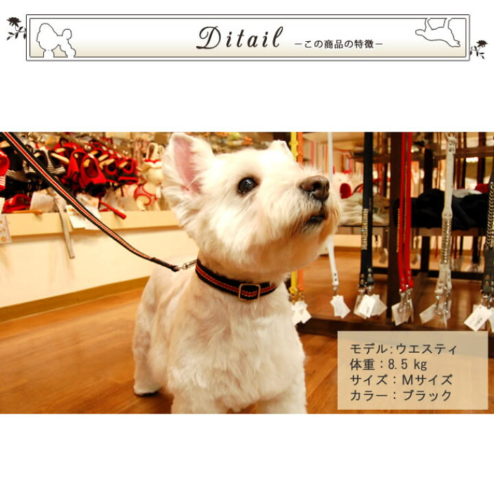 市場 ランサークリエイティブ ペット 安全 の首輪ライトアップナイロン