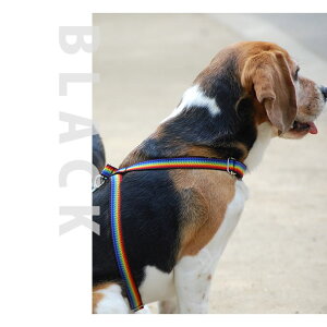  n[lX ASHU C{[ ^ STCY ȒP Cς̃C{[J[I@AbV@̏ォ@V n[lX  VjA