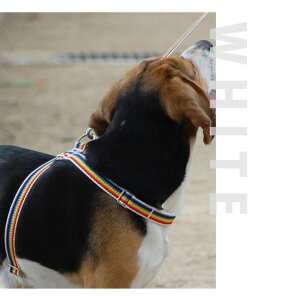 yN[|zzzn[lX p ASHU C{[ n[lX ^ MTCY U咍 Cς̃C{[J[I e[v^Cv 8̎n[lX@AbV@̏ォ@V