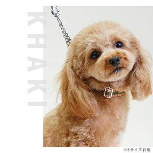   ASHU*CW n[t`[NJ[ STCY [20`32cm]^ IW  ybg p U ̎ `F[  `[N n[t v[g gCv[h 