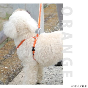 yN[|zzz n[lX ASHU CW ^ MTCY ^b` ݂̂fފŔȂ\@AbV@̏ォ@V n[lX  VjA