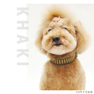   ASHU XebvJ[ S ybg ^ Lp ŏv iC rj[ lC̃bh  ubN  