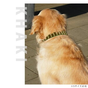   ^ ASHU XebvJ[ L y[h͕ʔz vŊȒPe[v^Cv ō ԂlC rj[ { uh