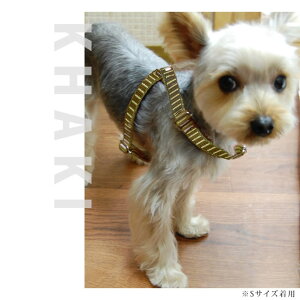 n[lX ASHU Xebvn[lXM ^ ybg  iC z [h@AbV@̏ォ@V n[lX  VjA 