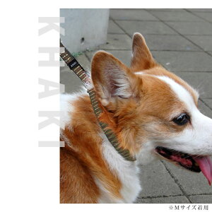 ASHU*STEP[Xebv]`[NJ[[MTCY] [`50cm] y[h͕ʔz  `[NJ[ S`[N g[jO  ^   TCYʌ\L `[N Č 