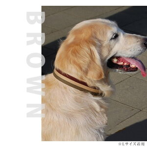 犬 首輪 大型犬 ASHU トリコロールカラーL【リードは別売り】 シェパード ブルドッグ幅広3cm 犬用首輪 お散歩 可愛い 犬のグッズ ペット用品 犬の首輪 愛犬 犬用品 かわいい おしゃれ 楽天市場
