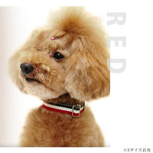   ^ ASHU gR[J[M y[h͕ʔz 1.5cm e[v^Cv ViEU[ IWi hbOuh AbV p U  ̃ObY Č R[M[ yb