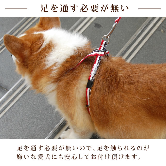 31ハーネス リードセット オレンジ　S 犬 猫 ペット用 お散歩