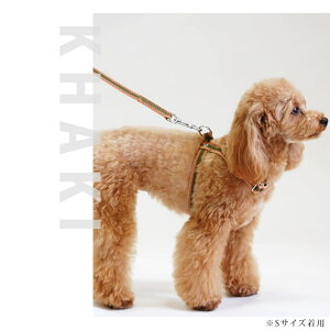 *ASHU*uDJtCWO[hZbgvyp[h Uz [h 2 ^ ^  ASHUuh hbOuh ybgv[g U ObY J[ v R 