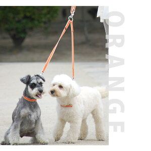 *ASHU*uDJtCW[hZbgvyp[h Uz [h 2 ^ ^  ASHUuh hbOuh ybgv[g U ObY J[ v R ̃Ob