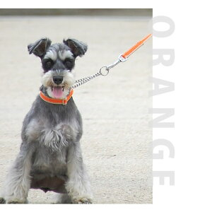 ASHU*CW n[t`[NJ[[STCY] [h[SEMp]p U  ̃ObY [hyybg[h ybgp[h ybgpi ˎRnEhJz̎ U