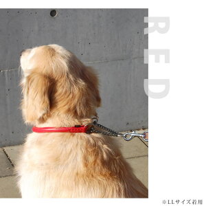 ^pn[t`[N v ASHU \tgU[ n[t`[NM Vo U[`[N  v Vvʔ́@p