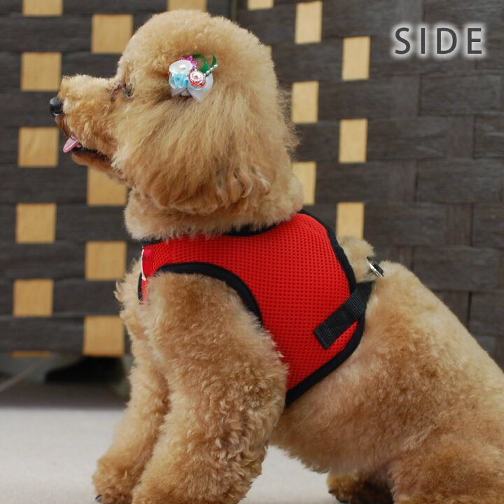 楽天市場 Ashu ウェアハーネス M 小型犬 4kg リードは別売り ベスト型ハーネス胴輪 かわいいペット用ウエアハーネスウェアハーネス ウエア ハーネス 犬ハーネス トイプードル おしゃれ リード 高齢犬 シニア ウエア ペット用品 散歩 いぬアッシュ 洋服の上から