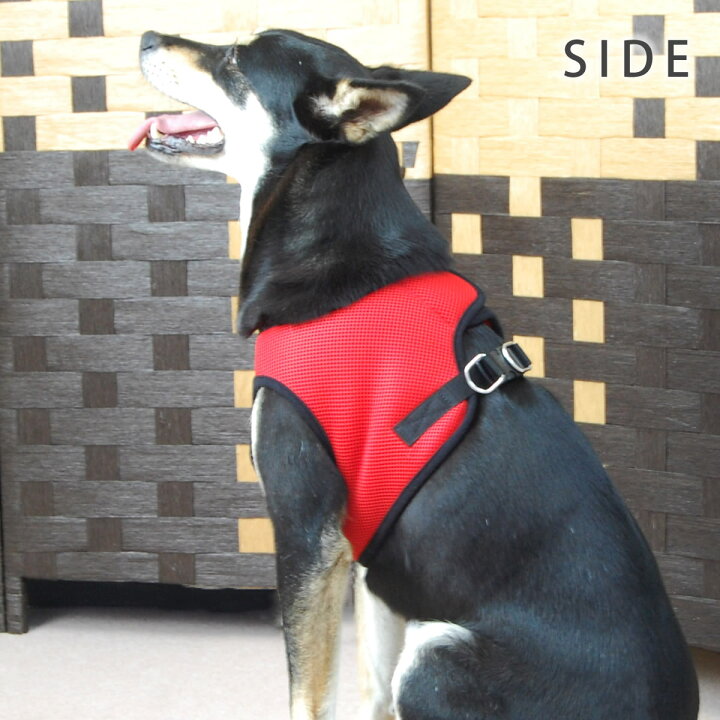 楽天市場 Ashuウェアハーネス リードセットll 中型犬 シュナウザー 抜けない 痛くない かわいいハーネス ブランド ハーネス 犬ハーネス ドッグ 柴犬 コーギー おしゃれ リード 豆柴 豆しば 豆シバ お散歩グッズ ペット用品 おしゃれ 一体型服の上から 老犬 ハーネス