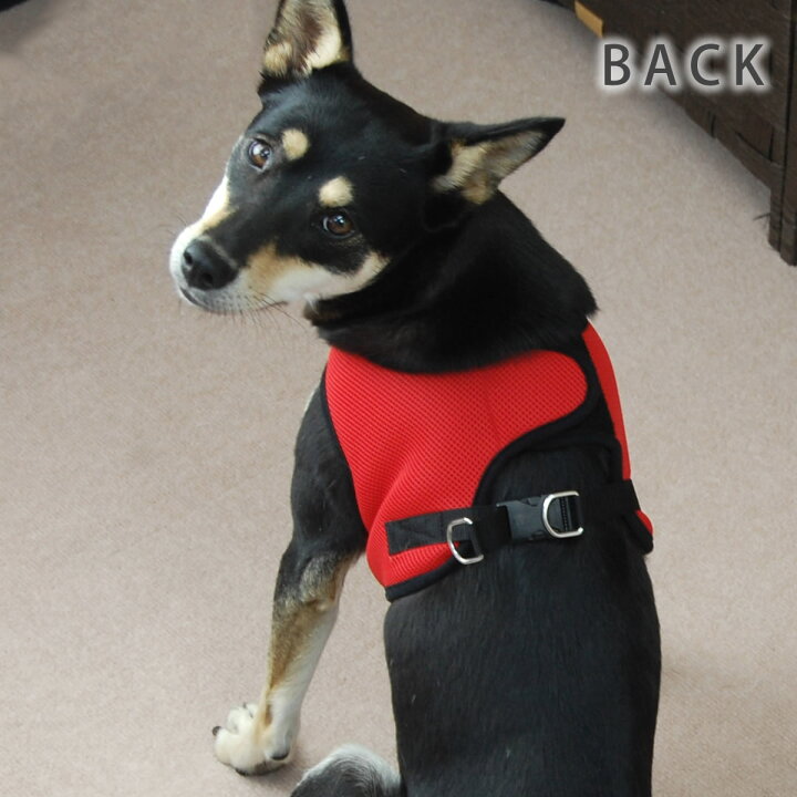 楽天市場 Ashuウェアハーネス リードセットll 中型犬 シュナウザー 抜けない 痛くない かわいいハーネス ブランド ハーネス 犬ハーネス ドッグ 柴犬 コーギー おしゃれ リード 豆柴 豆しば 豆シバ お散歩グッズ ペット用品 おしゃれ 一体型服の上から 老犬 ハーネス