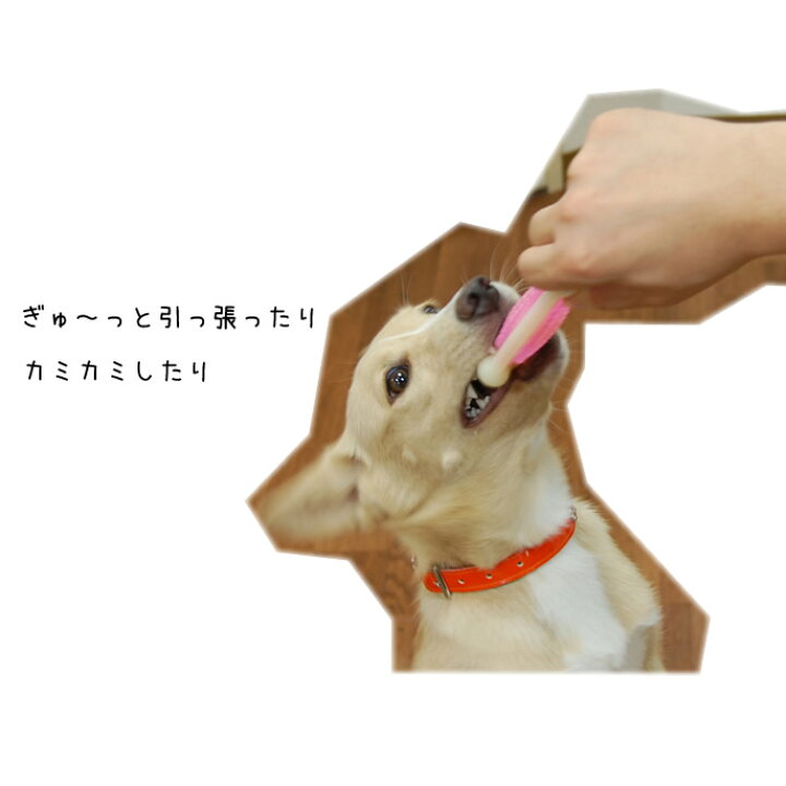 楽天市場 犬用おもちゃ Hartz デンタルボーン ソフトタイプ Sサイズ犬用おもちゃ 誕生日プレゼント ペット用玩具 ギフト 犬用ギフト 犬おもちゃ 犬のおもちゃ 愛犬 デンタルケア 犬のオモチャ ドッグ 帝塚山ハウンドカム 楽天市場店