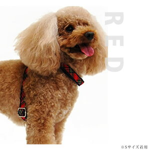 n[lX ASHUygbh n[lXzSTCYy[h͕ʔz@AbV@̏ォ@V n[lX  VjA