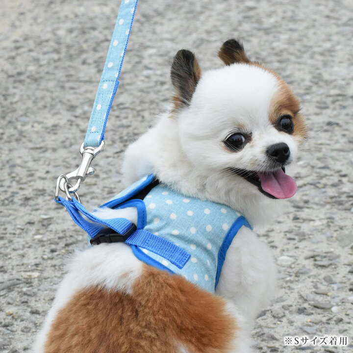 小型犬 ハーネス Ashu ウェアハーネスボーダー リードセットs 送料無料 老犬 子犬にも痛くない 犬ハーネス ペット用品 ドッグ トイプードル チワワ おしゃれ 犬用ハーネス 散歩用リード 高齢犬 シニア お散歩 アッシュ 服の上から 帝塚山ハウンドカム 矢嶋ashu 小型犬 ハーネス Ashu ウェアハーネスボーダー リードセットs 送料無料 老犬 子犬にも痛くない 犬ハーネス ペット用品 ドッグ トイプードル チワワ おしゃれ 犬用ハーネス 散歩用リード 高齢犬 シニア お散歩 アッシュ 服の上から 帝塚山ハウンドカム 矢嶋ashu