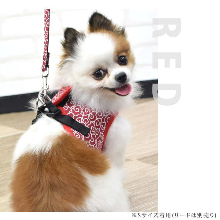 輝い Fresh Pawz フレッシュポウズ ペットグッズ 犬用品 首輪 ハーネス リード 胴輪blue Fucoa Cl