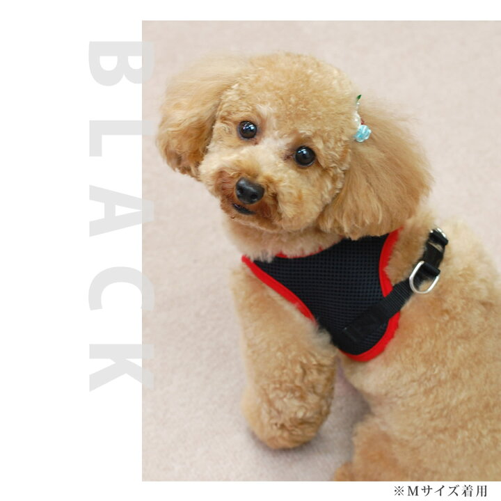 楽天市場 ペット用ハーネス Ashu ウェアハーネス Ss リードは別売り 小型犬 子犬用 引っ張る子にもおすすめウエア型 服型 犬用ハーネス 犬ハーネス ドッグ おしゃれ パグ コーギー 夏 ハーネス 散歩アッシュ 洋服の上から 帝塚山ハウンドカム 楽天市場店 楽天市場 ペット用ハーネス Ashu ウェアハーネス Ss リードは別売り 小型犬 子犬用 引っ張る子にもおすすめウエア型 服型 犬用ハーネス 犬ハーネス ドッグ おしゃれ パグ コーギー 夏 ハーネス 散歩アッシュ 洋服の上から 帝塚山ハウンドカム 楽天市場店