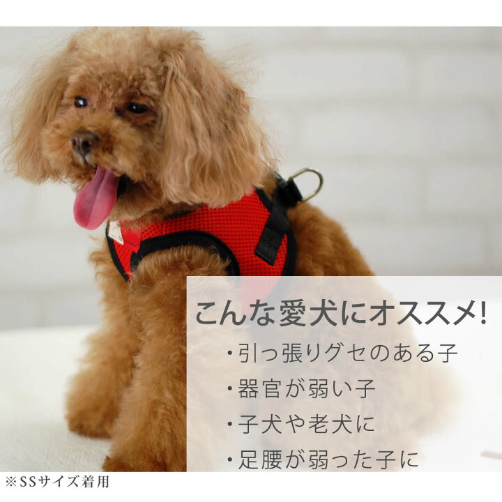 楽天市場 Ashu ウェアハーネス M 小型犬 4kg リードは別売り ベスト型ハーネス胴輪 かわいいペット用ウエアハーネスウェアハーネス ウエア ハーネス 犬ハーネス トイプードル おしゃれ リード 高齢犬 シニア ウエア ペット用品 散歩 いぬアッシュ 洋服の上から