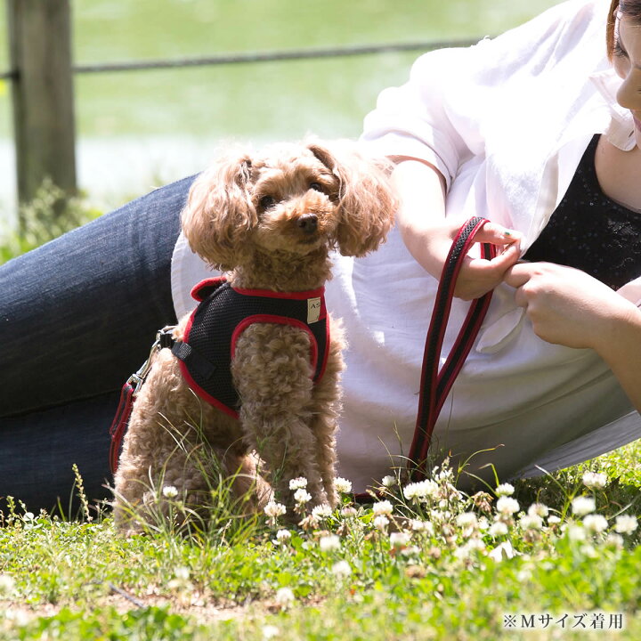 楽天市場 Ashu ウェアハーネス M 小型犬 4kg リードは別売り ベスト型ハーネス胴輪 かわいいペット用ウエアハーネスウェアハーネス ウエア ハーネス 犬ハーネス トイプードル おしゃれ リード 高齢犬 シニア ウエア ペット用品 散歩 いぬアッシュ 洋服の上から