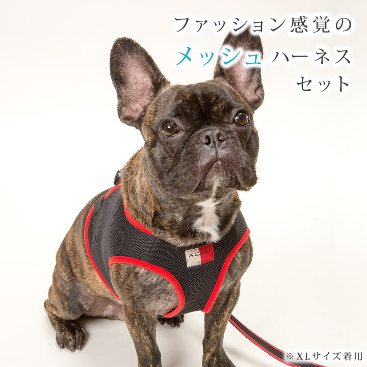 楽天市場 Ashuウェアハーネス リードセットll 中型犬 シュナウザー 抜けない 痛くない かわいいハーネス ブランド ハーネス 犬ハーネス ドッグ 柴犬 コーギー おしゃれ リード 豆柴 豆しば 豆シバ お散歩グッズ ペット用品 おしゃれ 一体型服の上から 老犬 ハーネス