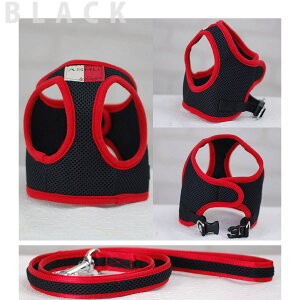 ASHUEFAn[lX[hZbgXL ^ n[lX n[lX[h xXg݂Łyn[lX ybgpi pi Č R[M[  pn[lX Up[h   