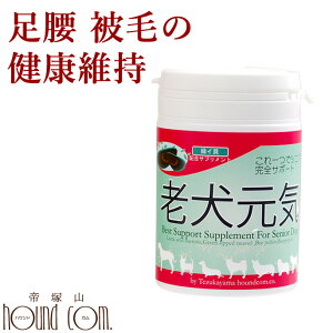 yN[|zzzV Tvg VC ΃CL ORT~ _ VjA ֐߂̌Nێybg VjA Tv ^ ^ ^ gCv[h R[M[ Č y