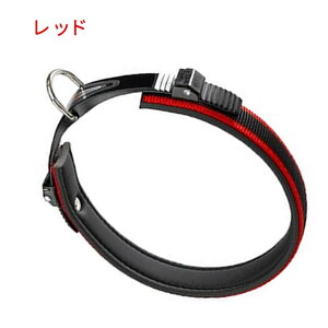   GSRtH[g C25 51 Nry񂹏iz