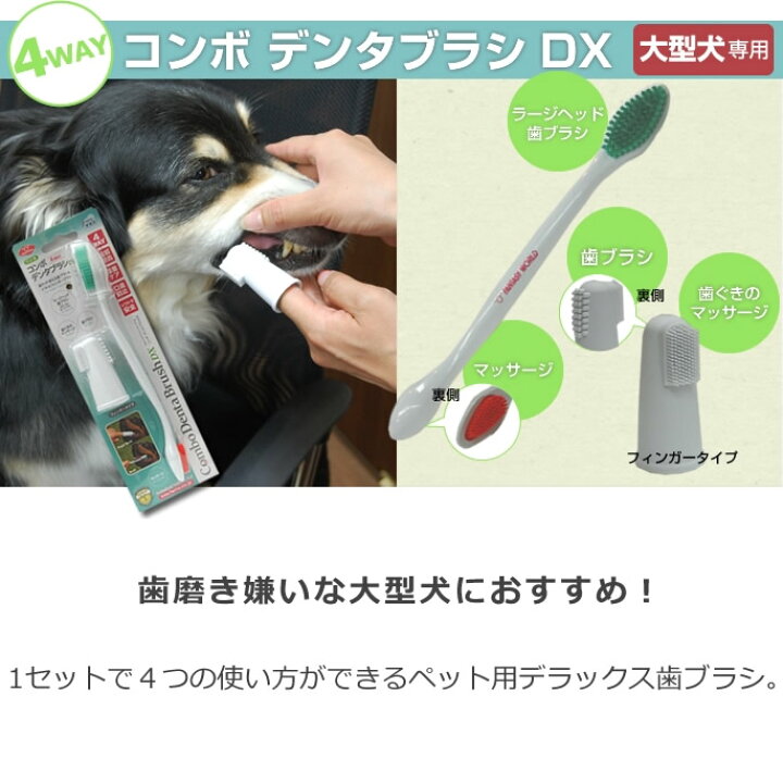 楽天市場 大型犬用 歯ブラシ コンボ デンタブラシdx 歯磨き嫌いな大型犬におすすめ 大型犬デンタルケア 使いやすい歯ブラシ 帝塚山ハウンドカム 楽天市場店