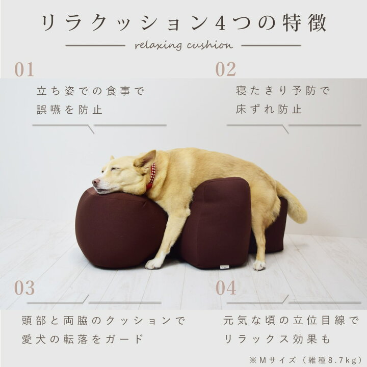 楽天市場】【割引クーポン配布中】【愛犬用ベッド】 リラクッション M 