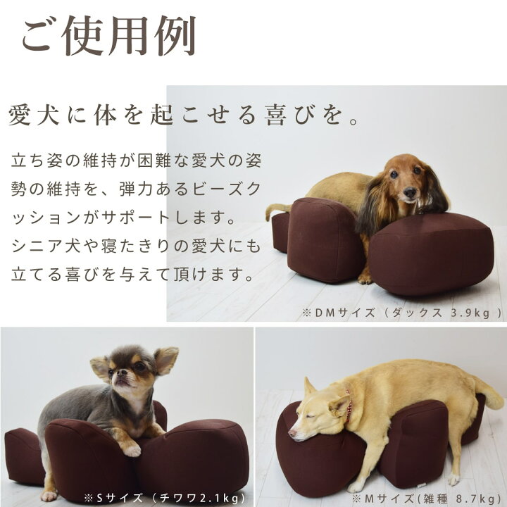 楽天市場】【愛犬用ベッド】 リラクッション M ブラウン【立位保定 