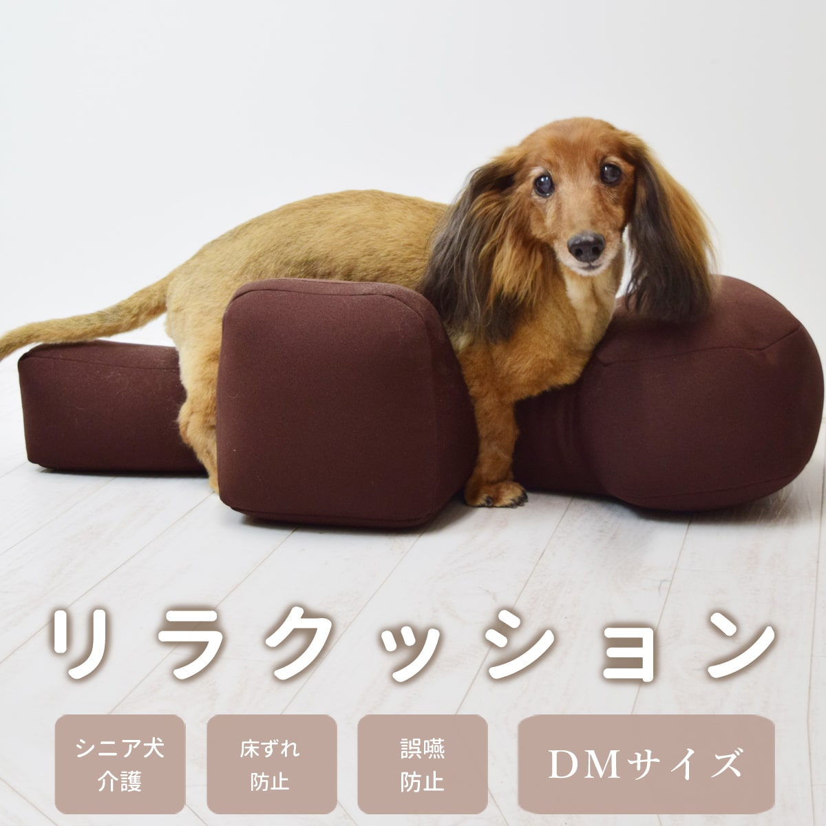 楽天市場】【愛犬用ベッド】 リラクッション DM ブラウン【立位保定