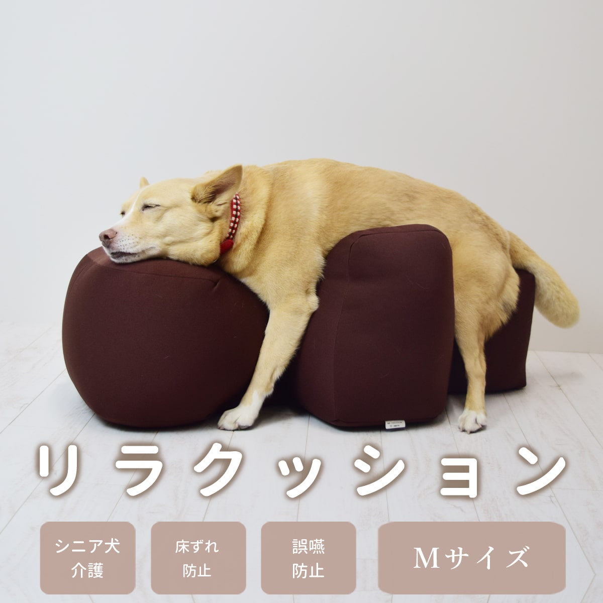 楽天市場】【愛犬用ベッド】 リラクッション M ブラウン【立位保定 