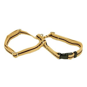 n[lX ASHU*C n[lXSTCYn[lX  hbO pn[lXyn[lX ybgpi pi yVsX  ybgObY Up[h U ybgz@AbV@