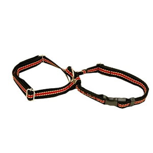 n[lX ASHU*C n[lXMTCY@AbV@̏ォ@V n[lX  VjA