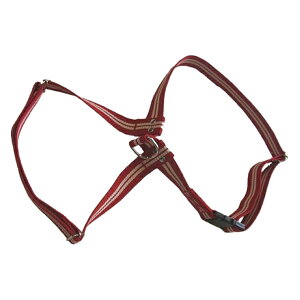 yp n[lXzASHU c[Cn[lXy^pzy[h͕ʔz  n[lX hbOyn[lX ybgpi hbO yVsX  pn[lX Up[h zU