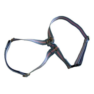 yp n[lXzASHU c[Cn[lXy^pzy[h͕ʔz  n[lX hbOyn[lX ybgpi hbO yVsX  pn[lX Up[h zU