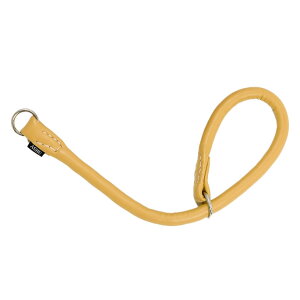 ASHU*\tgU[[`[NJ[] TCYFL y`^pz