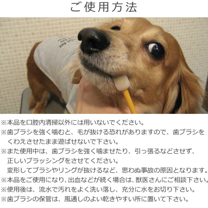 楽天市場】小型犬用歯ブラシ ビバテック シグワン グッズ【ペットグッズ 犬の歯磨き 犬のはみがき デンタルケア パグ コーギー 犬用品 お手入れ ドッグ】 : 帝塚山ハウンドカム 楽天市場店 楽天市場】小型犬用歯ブラシ ビバテック シグワン グッズ【ペットグッズ 犬の歯磨き 犬のはみがき デンタルケア パグ コーギー 犬用品 お手入れ ドッグ】 : 帝塚山ハウンドカム 楽天市場店