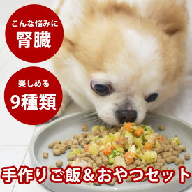 犬 腎臓に優しい7品目＆低リンおやつセット【ハウンドカム食堂】無添加 犬 おやつ 腎臓 サポート トッピング 老犬 シニア フード ウェットフード まとめ買い 食欲 食いつき 食べムラ ドッグフード ふりかけ 低ナトリウム