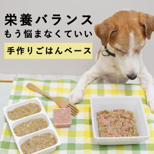 yN[|zzz 育͂ 𑫂h{oX͂ Y Y gbsO ӂ肩 ps[ VjA ɂ₳ ybgt[h lC  ȒP S  