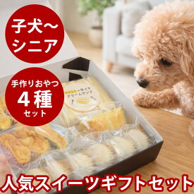 犬用 ソーシャルギフト｜人気スイーツ ギフトセット【冷凍便】無添加 ギフト プレゼント おやつ 詰め合わせ 高級 贈り物 お祝い 誕生日 バースデー 記念日 バレンタイン クリスマス 可愛い ラッピング スイーツ ケーキ 低リン 腎臓