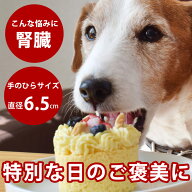 犬 おやつ ハッピーカップケーキ 2種3個セット【※お名前入れ不可】冷凍便 無添加 誕生日ケーキ バースデ…