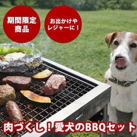 犬 ドッグフード 【 期間限定 】 肉づくしBBQセット (バーベキューセット ) 無添加 国内製造 アウトドア レジャー お出かけ キャンプ 野外 生肉 手作りご飯 冷凍便 子犬 成犬 シニア犬 やわらかい