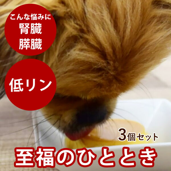 食堂の手作りプリン 3個セット【冷凍】 犬用スイーツ デザート おやつ お菓子 食いつき 良い 低脂肪 おすすめ 食いつき抜群 の いい 餌  トッピング 冷凍ドッグフード フレッシュドッグフード クリスマス バレンタイン
