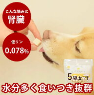 愛犬愛猫用 おやつ とっておきのひとくちテリーヌ チーズとタラ 100g×5袋セット 【冷凍】 国産 無添加 …